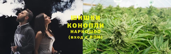 ПСИЛОЦИБИНОВЫЕ ГРИБЫ Зеленодольск